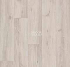 Линолеум Forbo Eternal Wood 10842 cream oak фото 1 | FLOORDEALER